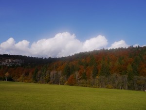 P1020596