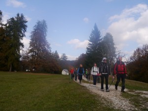 P1020613