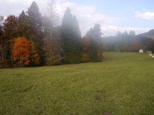 P1020614