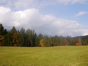 P1020617