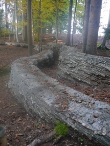 P1020660