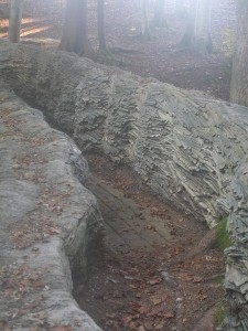 P1020662