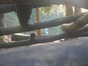 P1020695