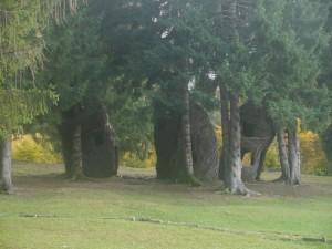 P1020696
