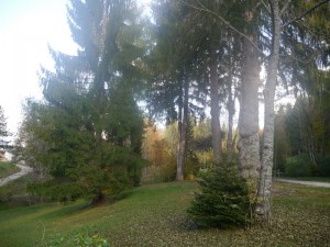 P1020712