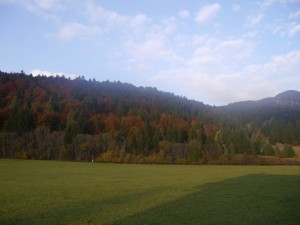 P1020715