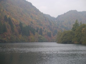 P1020737