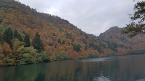 P1020738E