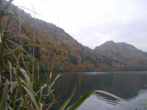 P1020741