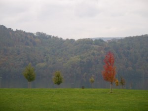 P1020766