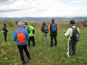 IMG 4762