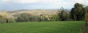 IMG 4773