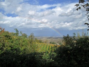 IMG 4774