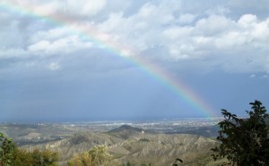 IMG 4775