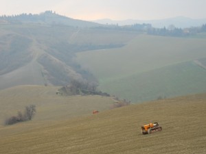 DSCN1070
