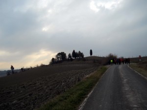 DSCN1071