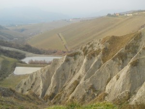 DSCN1079