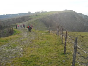 DSCN1081
