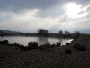 DSCN1085