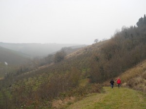 DSCN1112
