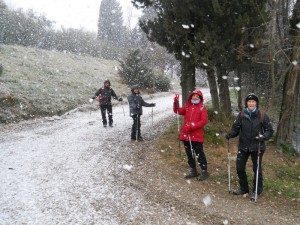 DSCN1114