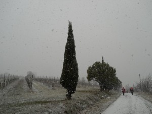 DSCN1119