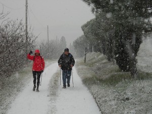 DSCN1123