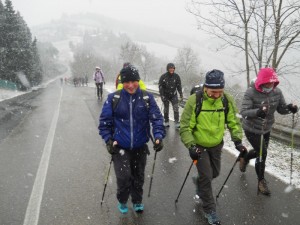 DSCN1126