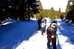 DSCF1445