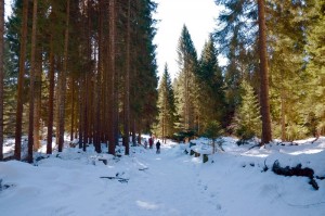 DSCF1447
