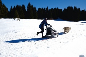 DSCF1451