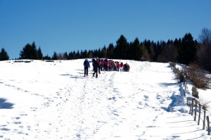 DSCF1454