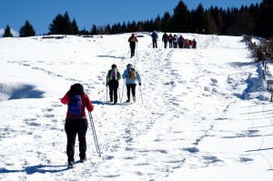 DSCF1455