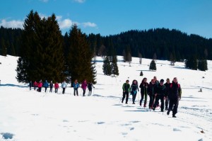 DSCF1498