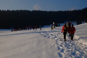 DSCF1526