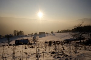 DSCF1527