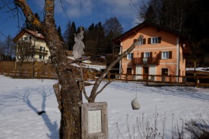 DSCF1538