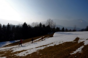 DSCF1553