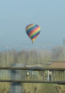 DSCN7564