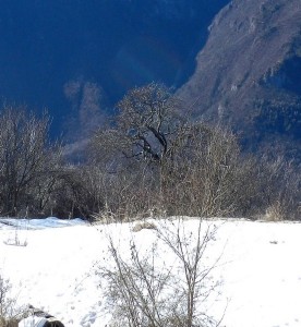 DSCN7576 (2)
