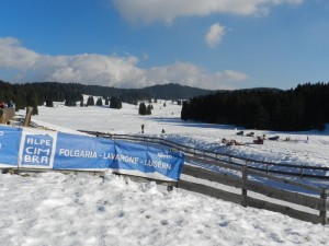 DSCN7595