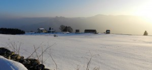DSCN7615