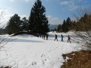 DSCN7638