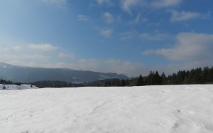 DSCN7639