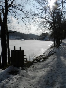 DSCN7658