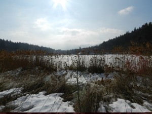 DSCN7660