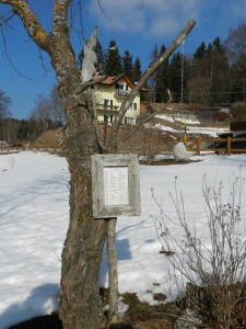 DSCN7665