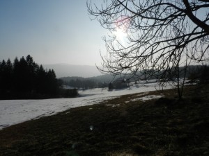 DSCN7684