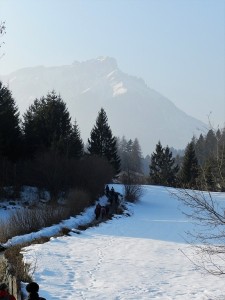 DSCN7687
