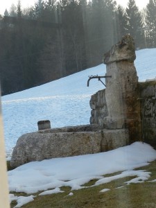 DSCN7691